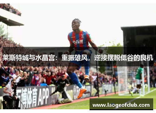 莱斯特城与水晶宫:重振雄风,迎接摆脱低谷的良机 莱斯特城与水晶宫:重振雄风,迎接摆脱低谷的良机