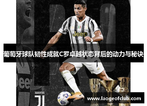 葡萄牙球队韧性成就C罗卓越状态背后的动力与秘诀 葡萄牙球队韧性成就C罗卓越状态背后的动力与秘诀