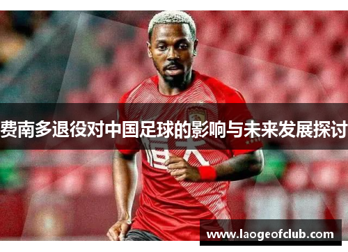费南多退役对中国足球的影响与未来发展探讨